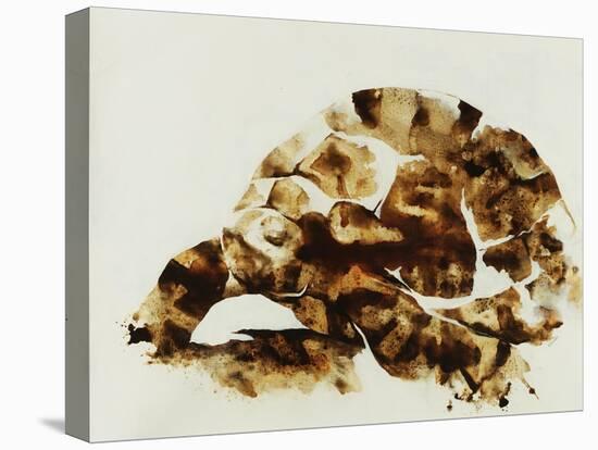 Tortoise Shell-Sydney Edmunds-Premier Image Canvas
