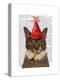 Tortoiseshell Cat, Party Hat-Fab Funky-Stretched Canvas
