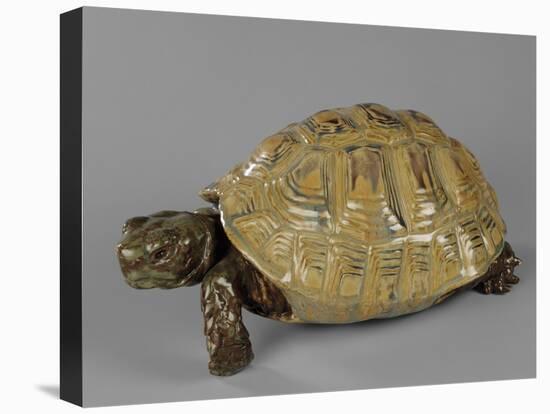 Tortue-null-Premier Image Canvas