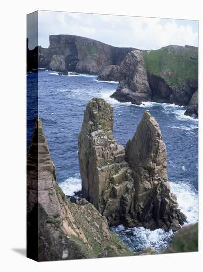 Tory Island, County Donegal, Ulster, Eire (Republic of Ireland)-David Lomax-Premier Image Canvas