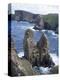 Tory Island, County Donegal, Ulster, Eire (Republic of Ireland)-David Lomax-Premier Image Canvas