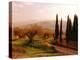 Toscana, Italia No. 709-Alan Klug-Premier Image Canvas