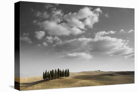 Toscana Landscape-null-Premier Image Canvas