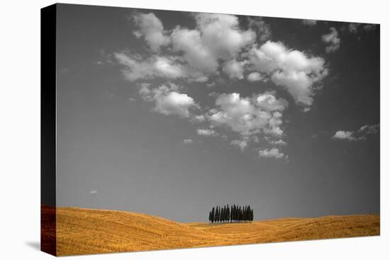 Toscana Landscape-PhotoINC-Premier Image Canvas