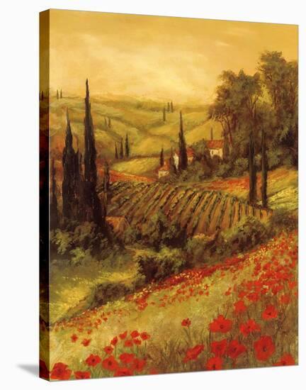 Toscano Valley II-Art Fronckowiak-Stretched Canvas