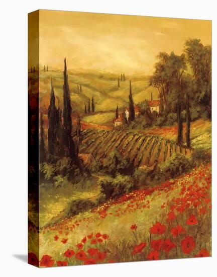 Toscano Valley II-Art Fronckowiak-Stretched Canvas