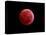 Total Lunar Eclipse Taken on December 10, 2011-null-Premier Image Canvas