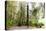 Totem Pole, Sitka National Historic Park aka Totem Park, Sitka, Alaska-Mark A Johnson-Premier Image Canvas