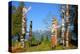 Totem's Poles in Stanley Park-null-Stretched Canvas