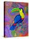 Toucan, 2021, (oil on canvas)-Jane Tattersfield-Premier Image Canvas