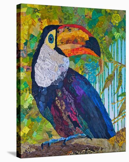 Toucan #2-null-Stretched Canvas