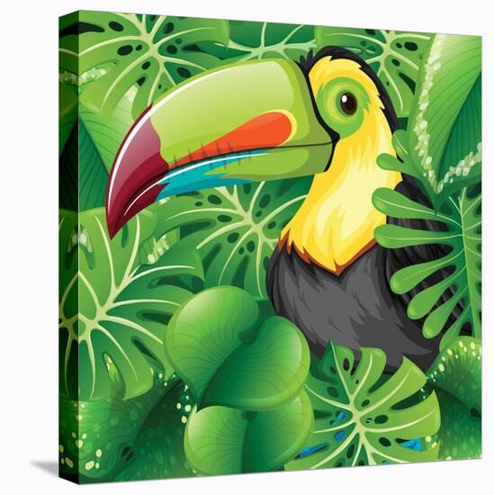 Toucan in the Green Bush Illustration-Daniel Cole-Stretched Canvas