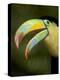 Toucan, La Paz, Costa Rica-Rob Sheppard-Premier Image Canvas