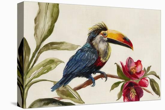 Toucan on Branch-Jacob Q-Stretched Canvas