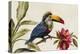 Toucan on Branch-Jacob Q-Stretched Canvas