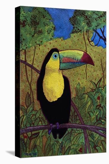 Toucan-John Newcomb-Premier Image Canvas