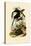 Toucans, 1833-39-null-Premier Image Canvas