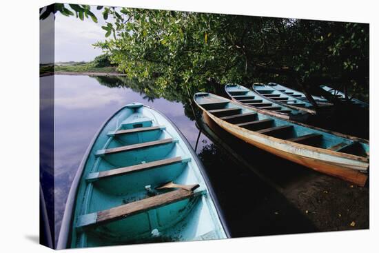 Tour Boats Moored in Ventanilla Lagoon-Danny Lehman-Premier Image Canvas