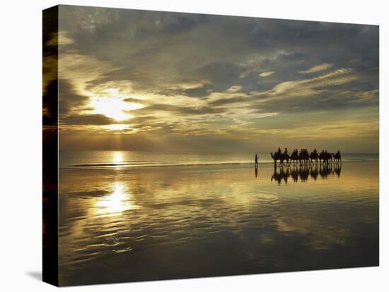 Tourist Camel Train on Cable Beach at Sunset, Broome, Kimberley Region, Western Australia-David Wall-Premier Image Canvas