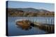 Tourist Launch, Derwentwater, Keswick, Lake District National Park, Cumbria, England, United Kingdo-James Emmerson-Premier Image Canvas