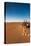 Tourist on sand dune, Valle De La Luna, Atacama Desert, San Pedro de Atacama, El Loa Province, A...-null-Premier Image Canvas