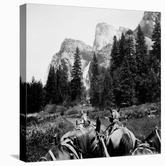 Tourist Photo from Horse-Drawn Wagon in Yosemite Valley, Ca. 1900.-Kirn Vintage Stock-Premier Image Canvas