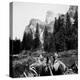 Tourist Photo from Horse-Drawn Wagon in Yosemite Valley, Ca. 1900.-Kirn Vintage Stock-Premier Image Canvas