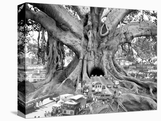 Tourist Trap-Thomas Barbey-Premier Image Canvas