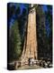 Tourists Dwarfed by the General Sherman Sequoia Tree, Sequoia National Park, California, USA-Kober Christian-Premier Image Canvas