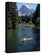 Tourists Float on a Raft in the Merced River at Yosemite National Park-Ralph Crane-Premier Image Canvas