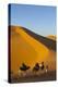 Tourists on Camel Safari, Sahara Desert, Merzouga, Morocco, North Africa, Africa-Doug Pearson-Premier Image Canvas