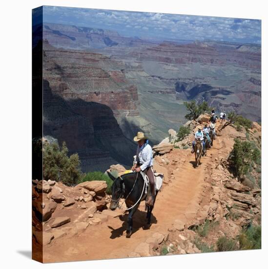 Tourists on Horseback Returning from Trekking in the Grand Canyon, Arizona, USA-Tony Gervis-Premier Image Canvas