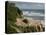 Tourists on viewing platform looking at gannet bird colony, Muriwai Beach, Auckland, North Islan...-null-Premier Image Canvas