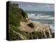 Tourists on viewing platform looking at gannet bird colony, Muriwai Beach, Auckland, North Islan...-null-Premier Image Canvas