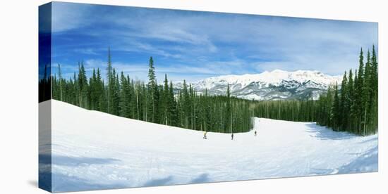 Tourists Skiing on a Snow Covered Landscape, Telluride, San Miguel County, Colorado, USA-null-Premier Image Canvas