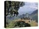 Tourists Trekking, Simien Mountains National Park, Unesco World Heritage Site, Ethiopia, Africa-David Poole-Premier Image Canvas