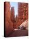 Tourists Walking in Bryce Canyon National Park, Utah, USA-Charles Sleicher-Premier Image Canvas