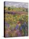 Towards Burgate Church-Timothy Easton-Premier Image Canvas