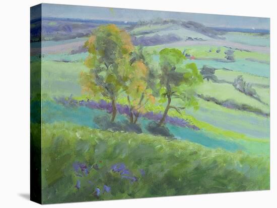 Towards Winchelsea, Sussex, with Bluebells in Spring-Anne Durham-Premier Image Canvas