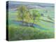 Towards Winchelsea, Sussex, with Bluebells in Spring-Anne Durham-Premier Image Canvas