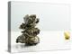 Tower of Oysters-Clinton Hussey-Premier Image Canvas
