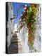 Town of Frigiliana, White Town in Andalusia, Spain-Carlos Sánchez Pereyra-Premier Image Canvas