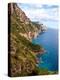 Town View, Positano, Italy-Miva Stock-Premier Image Canvas