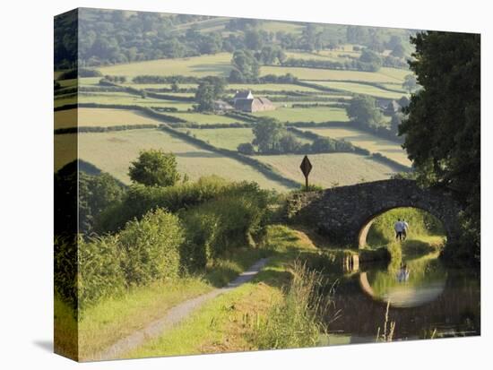 Towpath, Monmouth and Brecon Canal, Tal Y Bont, Powys, Mid-Wales, Wales, United Kingdom-David Hughes-Premier Image Canvas