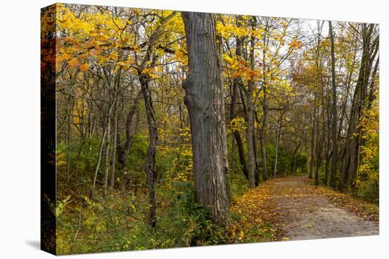 Towpath Trail in Autumn in Cuyahoga National Park, Ohio, USA-Chuck Haney-Premier Image Canvas