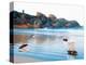 Toy Boats on Rocky Beach-Colin Anderson-Premier Image Canvas
