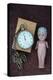 Toy Doll and Watch-Den Reader-Premier Image Canvas
