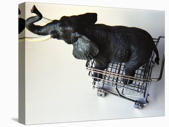 Toy Elephant in Toy Supermarket Cart-Winfred Evers-Premier Image Canvas