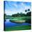 Tpc at Sawgrass, Ponte Vedre Beach, St. Johns County, Florida, USA-null-Premier Image Canvas