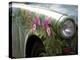 Trabant Car, Berlin, Germany-Walter Bibikow-Premier Image Canvas